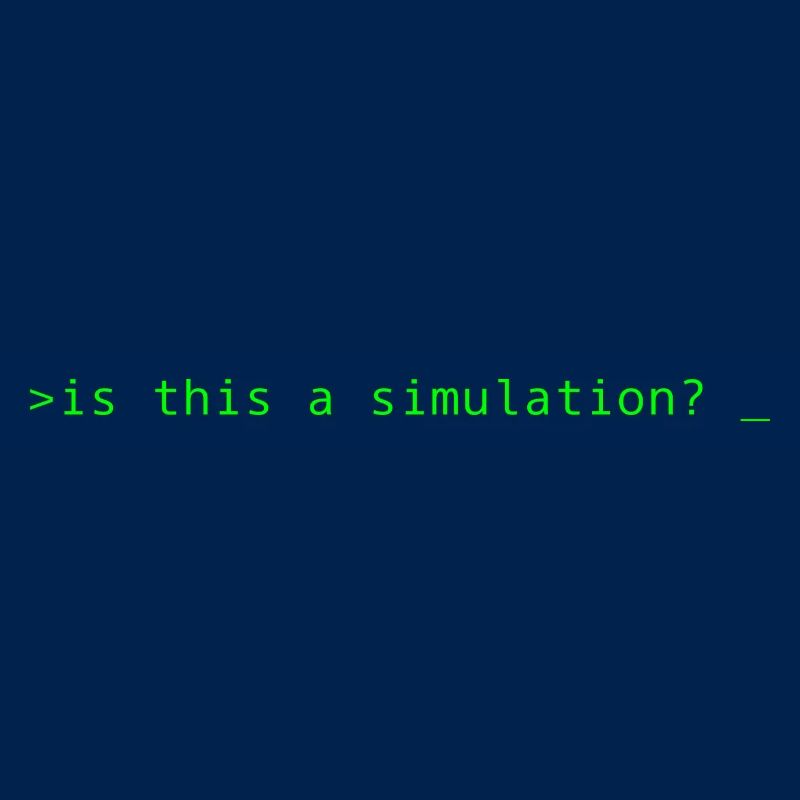 Simulation Programming Informatic Geschenk Spruch