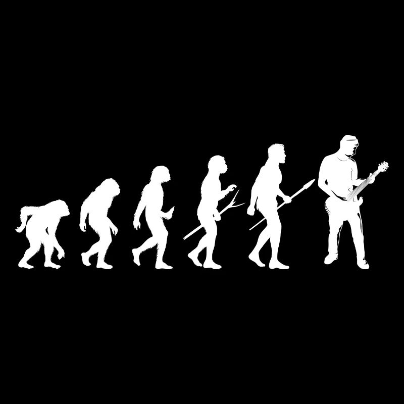 guitar guitare evolution