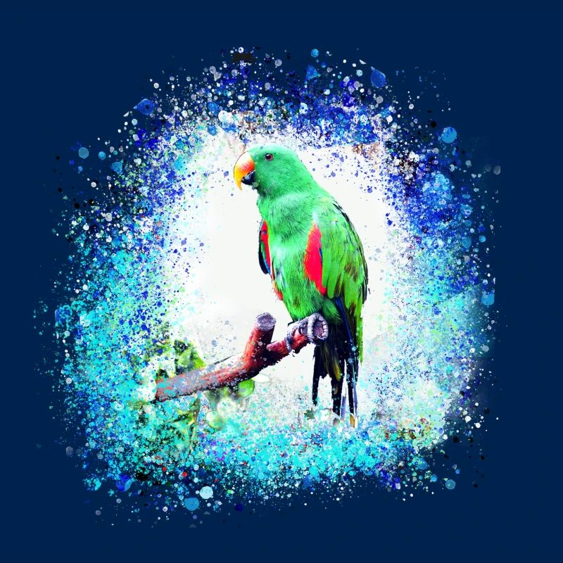 perfich ara,oiseau,graffiti,mint,bleu,brush,spray