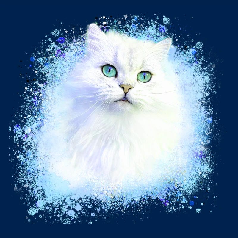 chat persan, chat siam, chat, chat blanc, graffiti