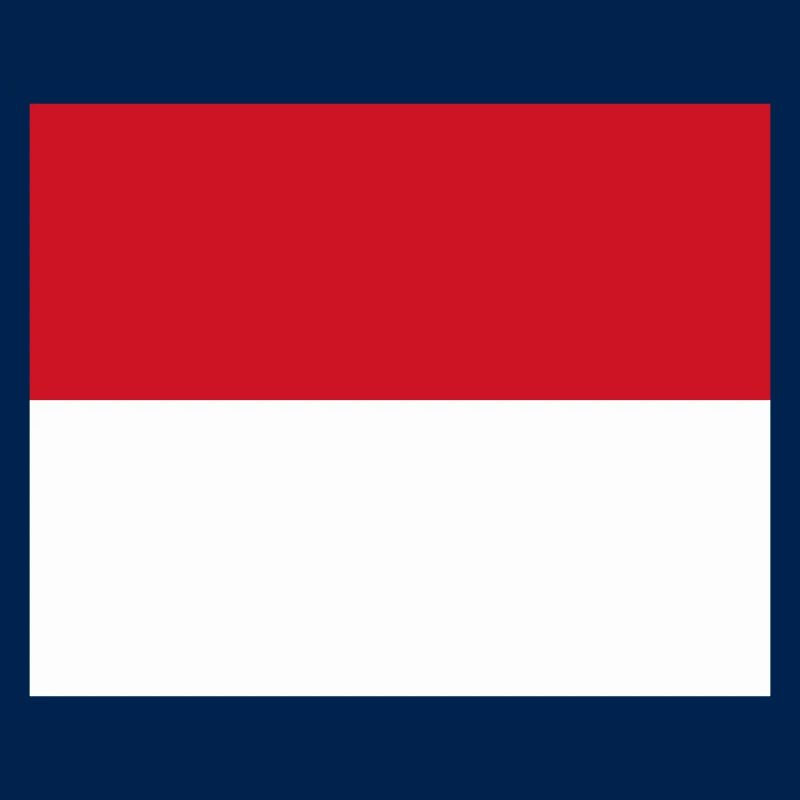 Monaco flag / Drapeau Monaco
