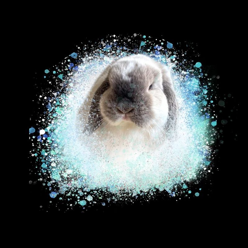 floppy ear, rabbit, graffiti, pink, rabbit