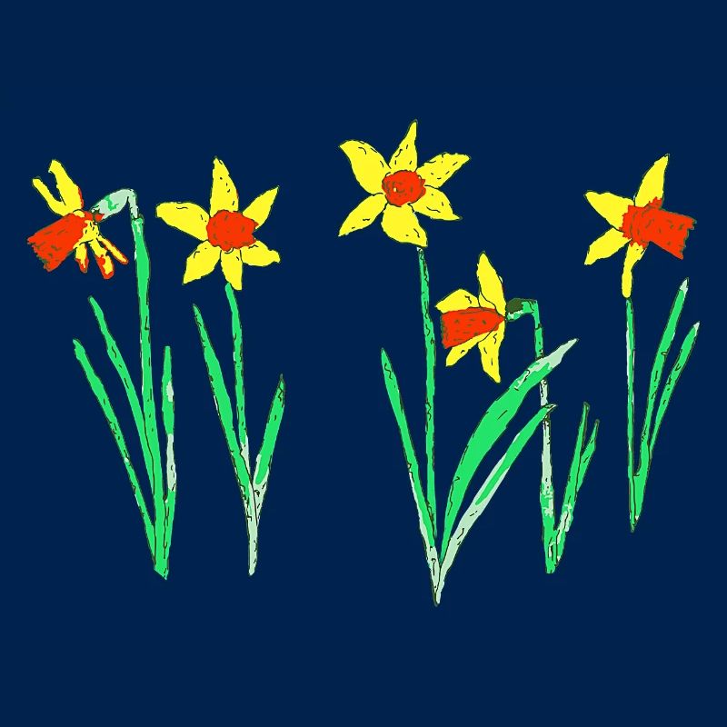 Daffodils