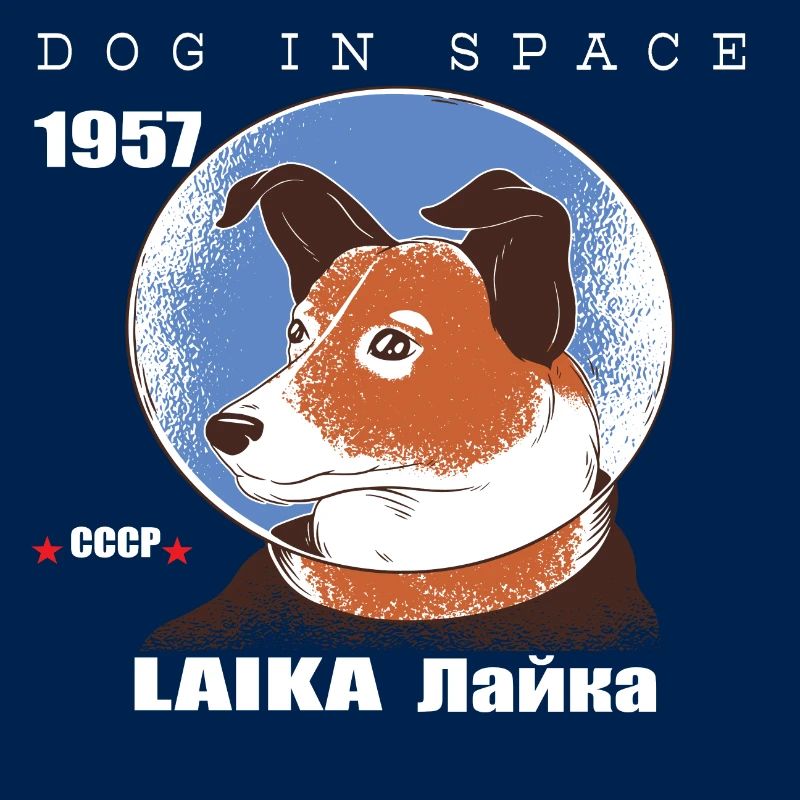 Chien de l'espace, LAIKA, cadeau de voyage spatial de 1957, espace