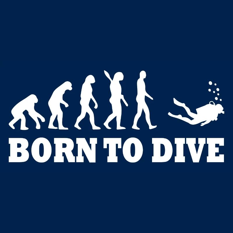 Diving Dive Dive