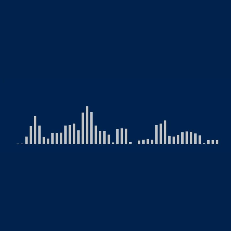 Visualizer