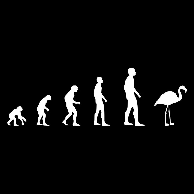 Flamingo - Evolution