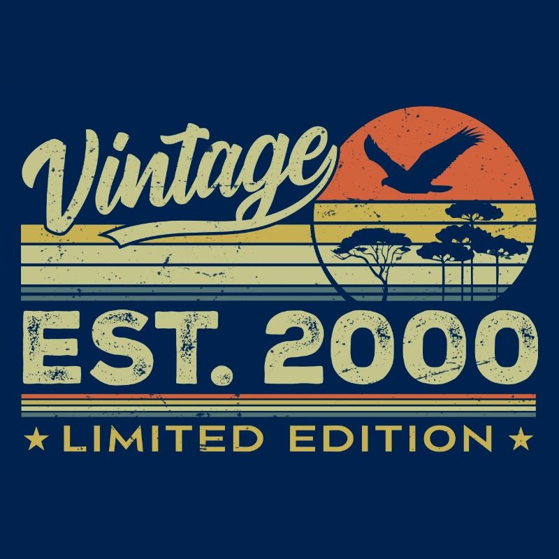 Vintage 2000 Awesome Since 2000 Gift 2000 Retro