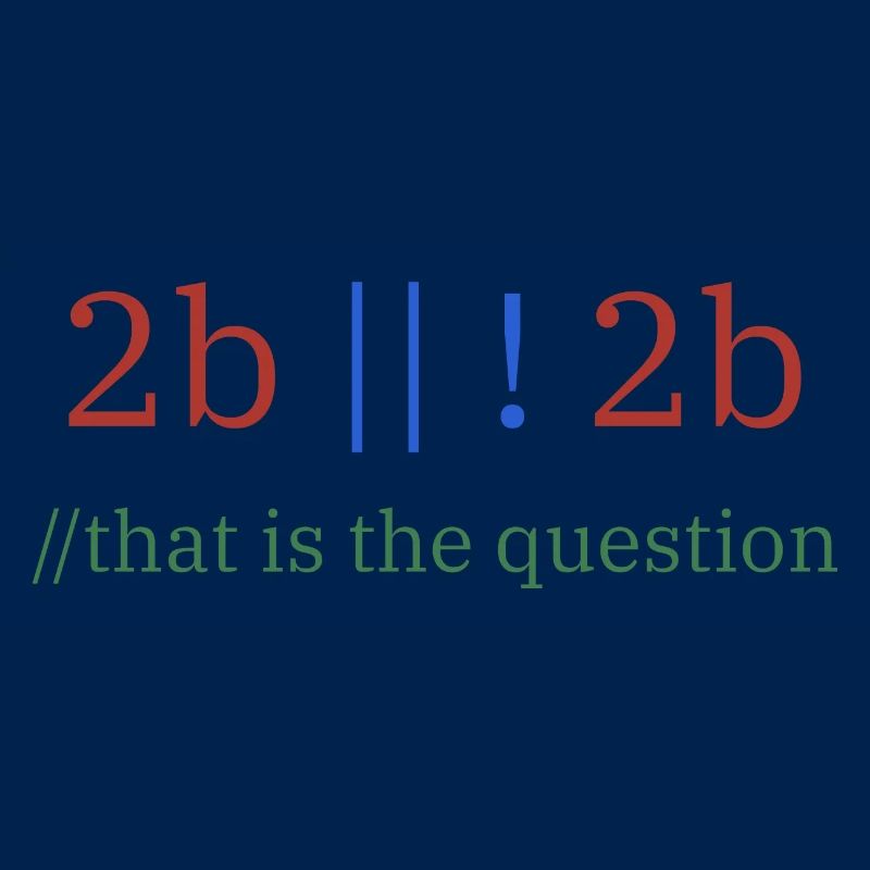 2b || !2b /Sein oder nicht sein/ Programmierer