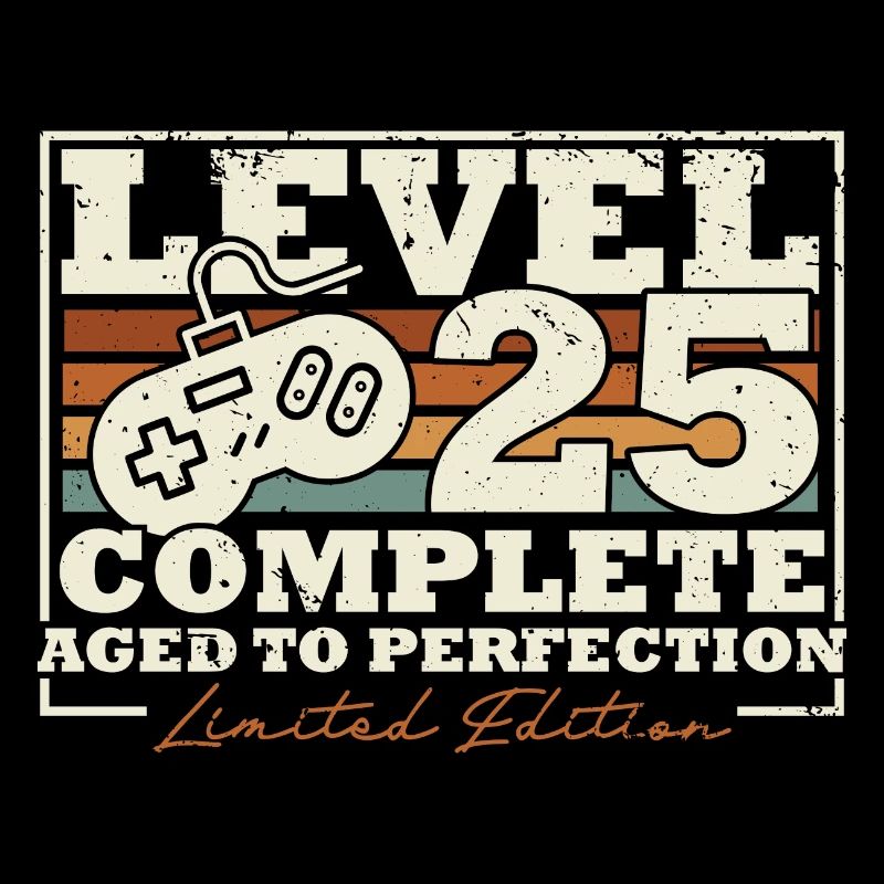 25 Birthday Level 25 Complete 25 Years Gift