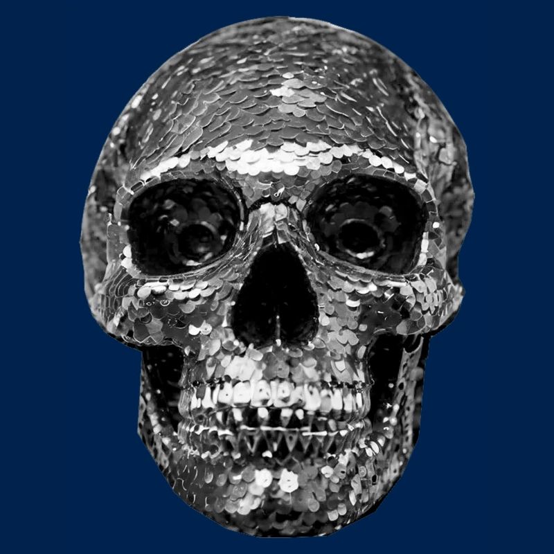 Skull, metallic, sequins, rivets, silver