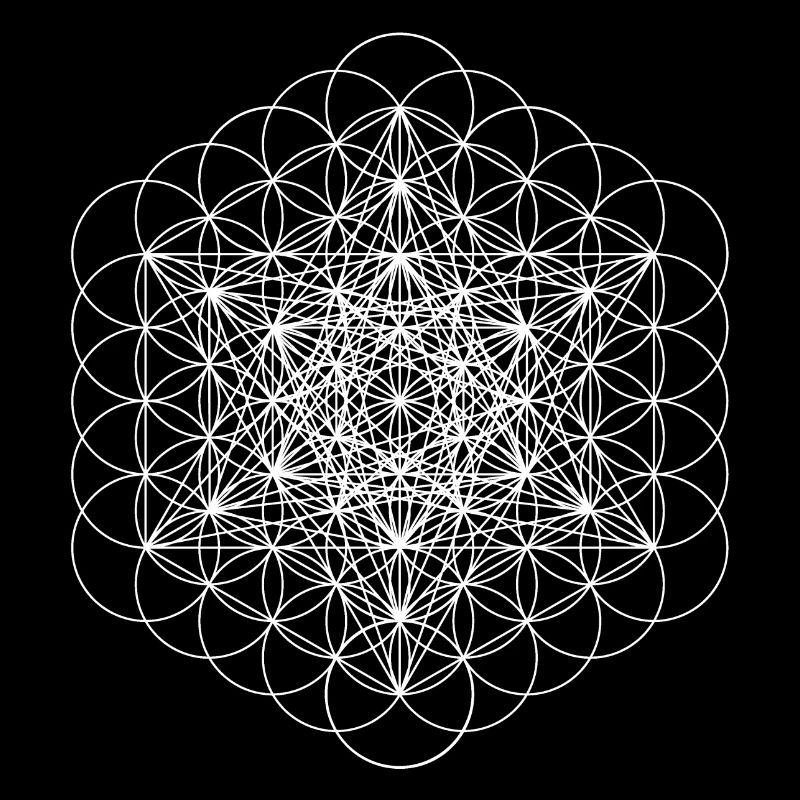 metatrons cube white