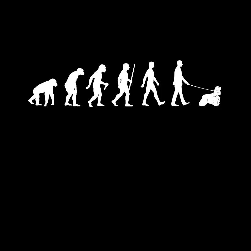 Evolution American Cocker Spaniel Walker