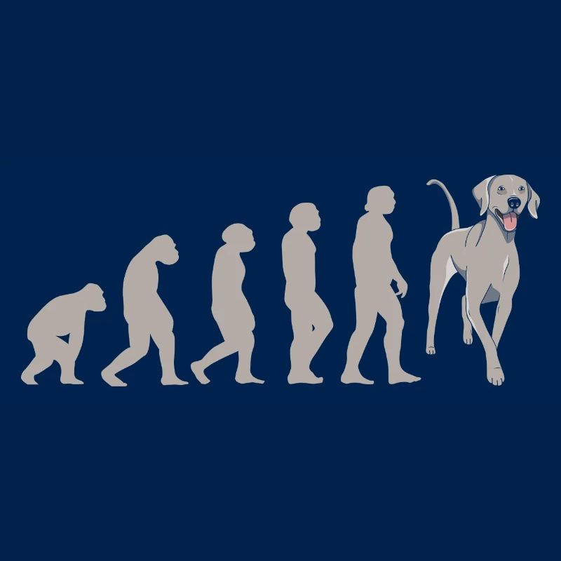 Braque de Weimar Evolution