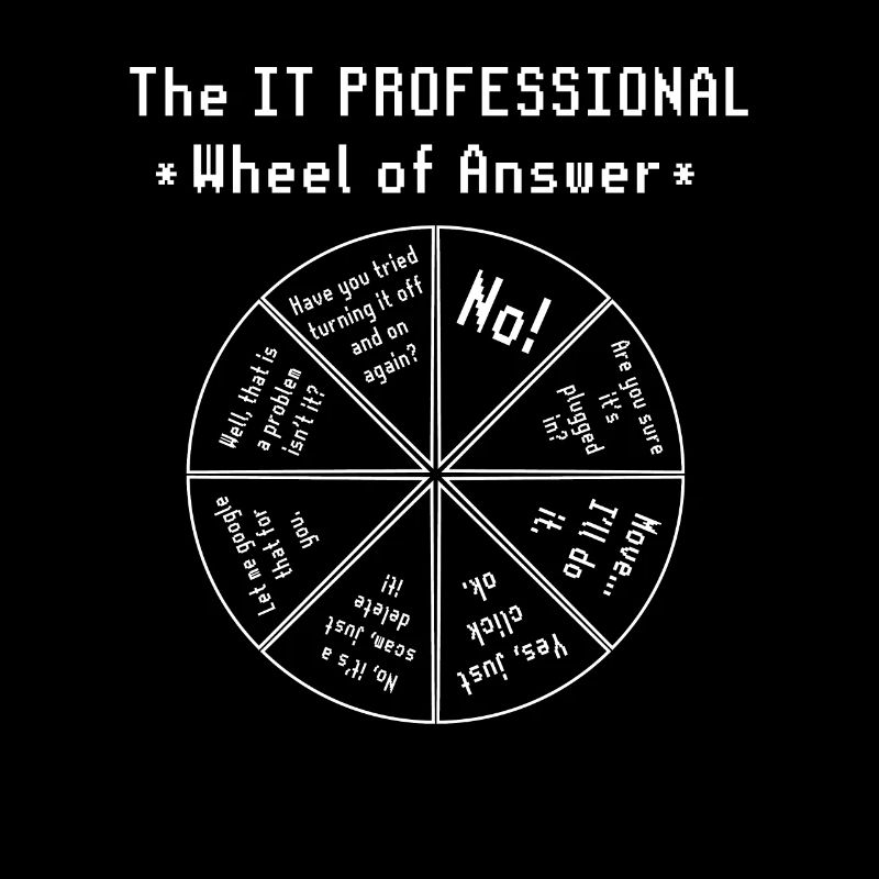 The IT Professional Computer Software Programmer