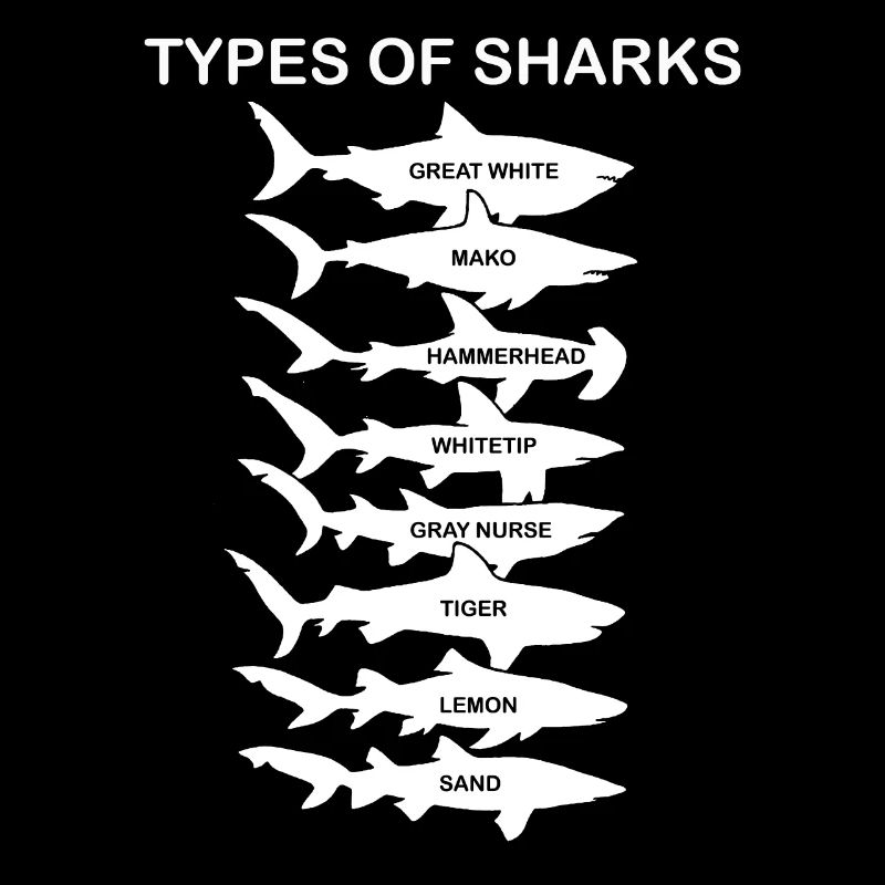 Types de requins
