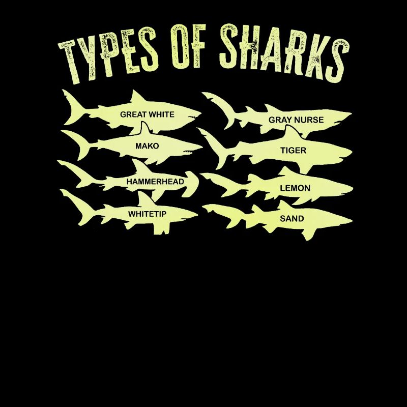 Types de requins