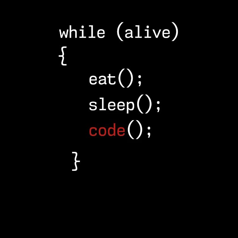 Administrator Coding Geek Programmierer