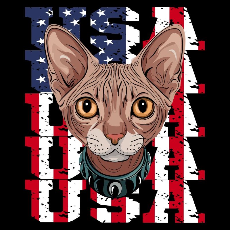 USA Chat Sphynx devant le drapeau