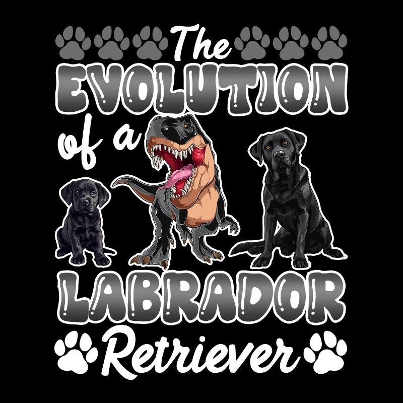 Hundebesitzer DIE EVOLUTION EINES LABRADOR