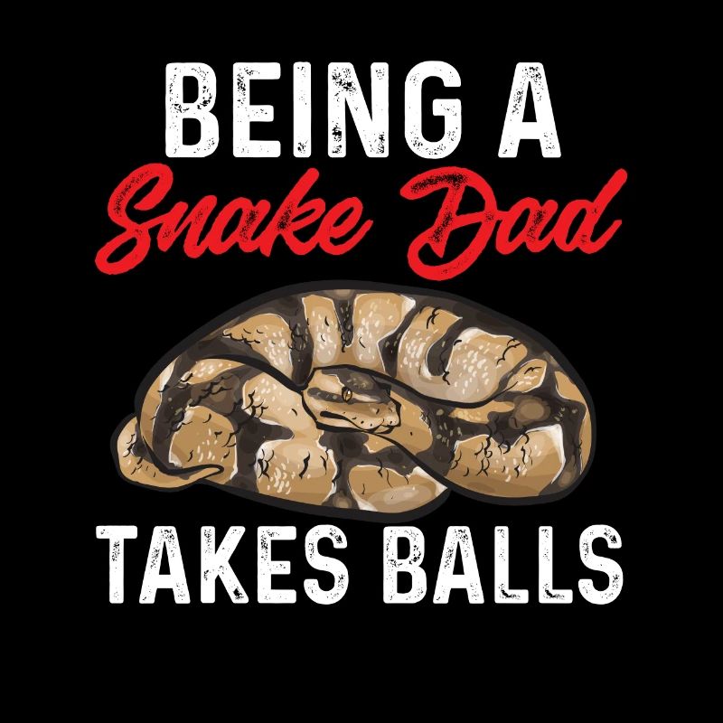 Ball Python Schlange Königspython