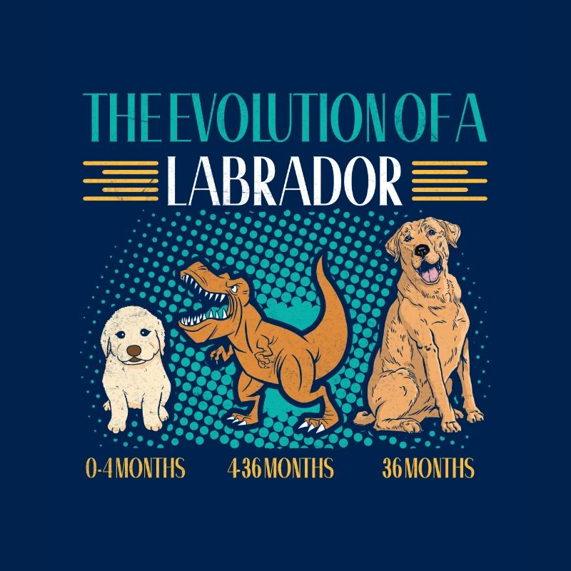 EVOLUTION D’UN PROPRIÉTAIRE DE LABRADOR RETRIEVER