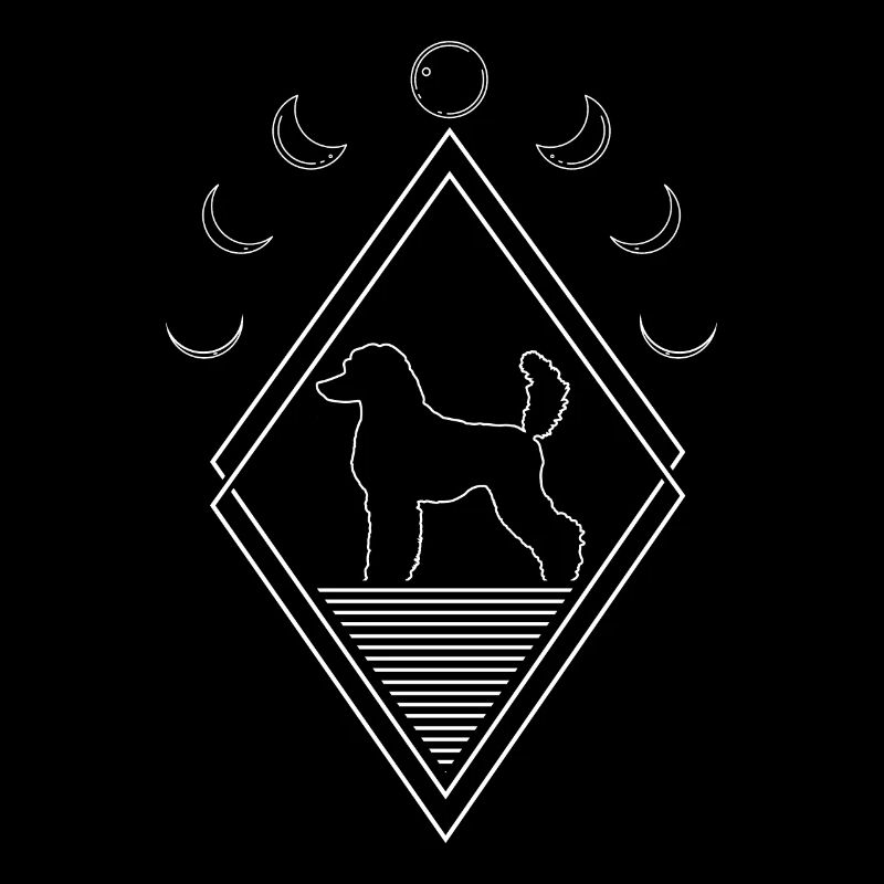 Caniche Phases de la lune