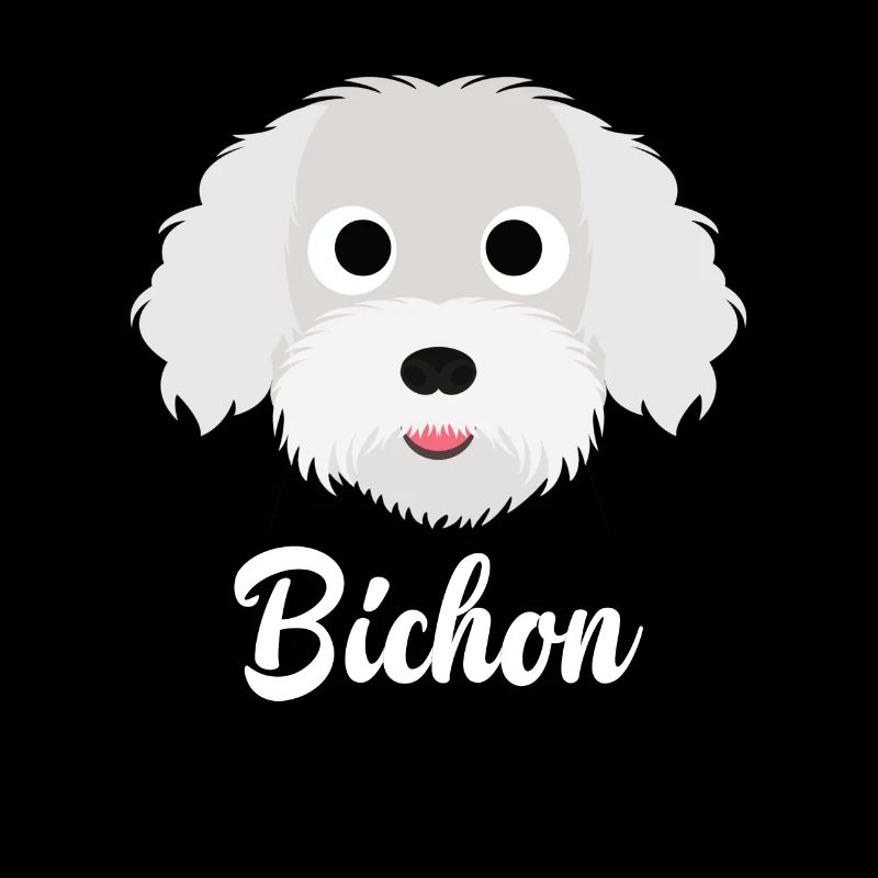 Bichon - Bichon Frise