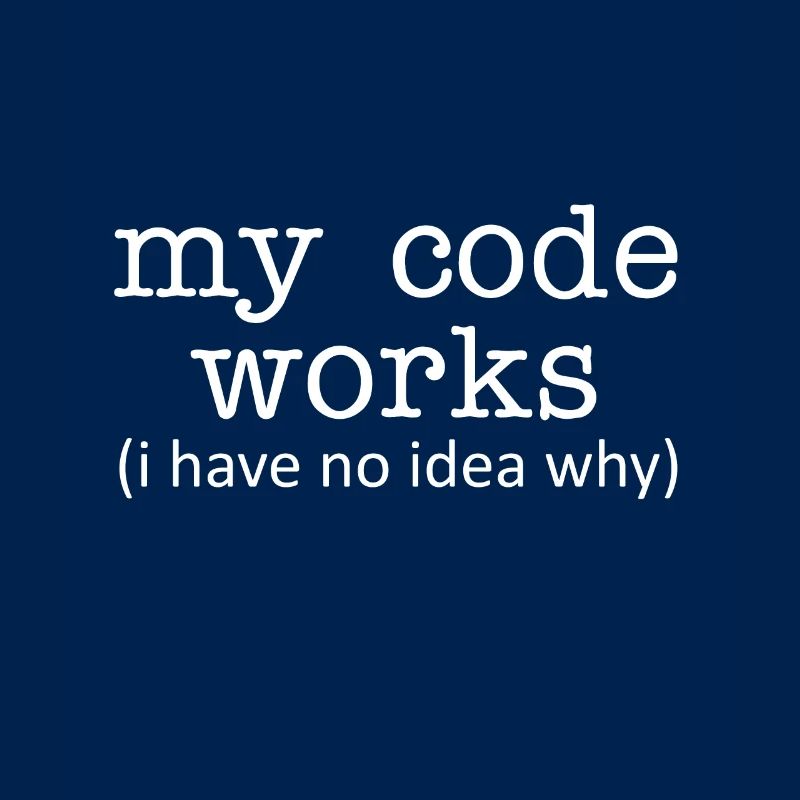 Programmer My code works (I don't have any