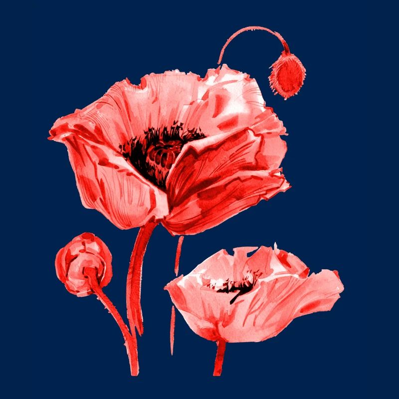 Coquelicot