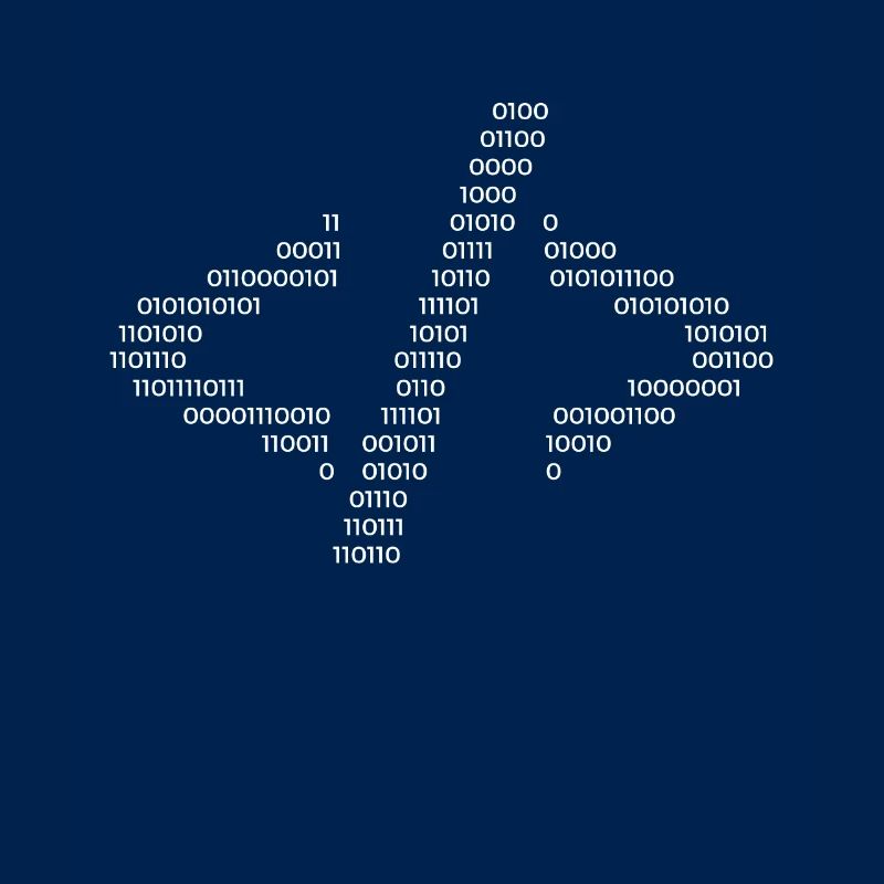 Hacker Hacking Code Computer Java Spruch Geschenk