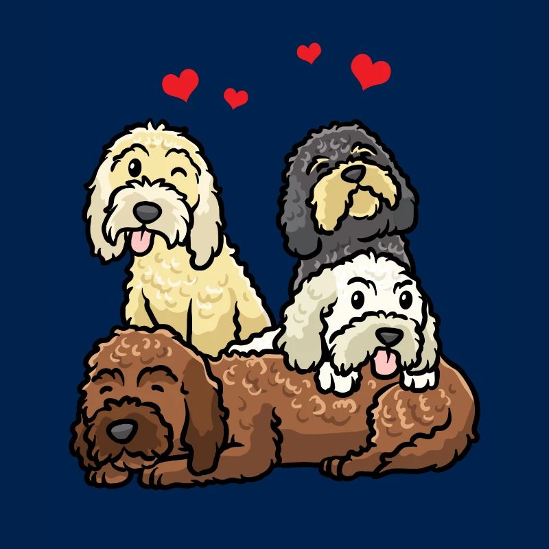 Cockapoo Hund Cockerpoo