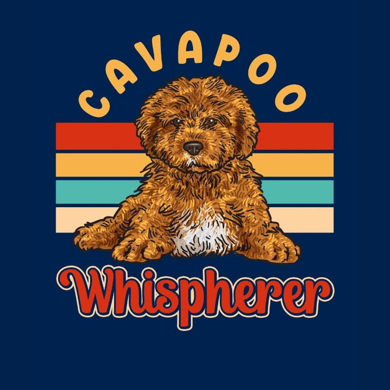 Cavapoo Cavoodle Capoodle Chien