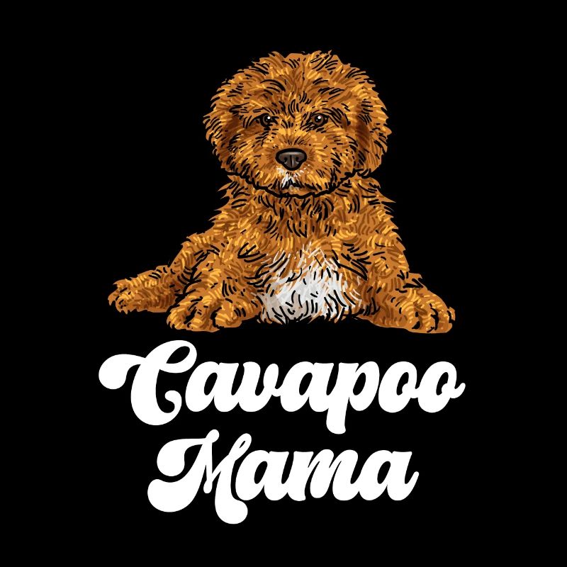 Cavapoo Cavoodle Capoodle Hund