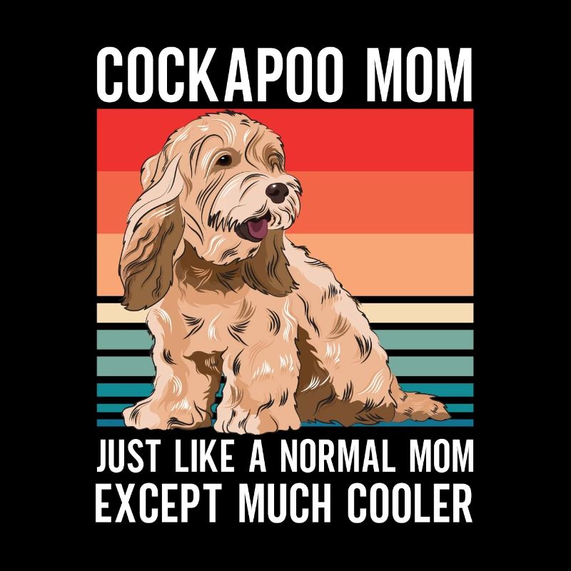 Cockapoo Chien