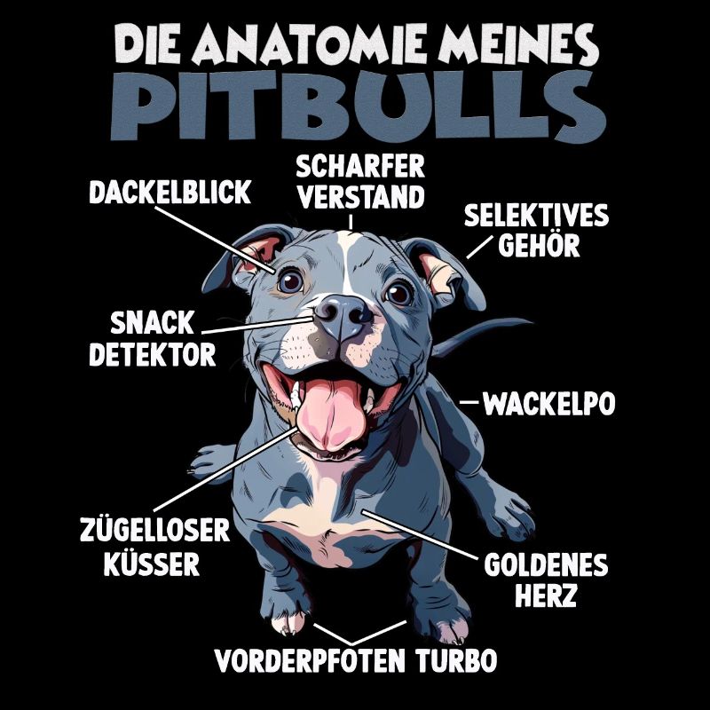 Pitbull Gassi T Hundehalter Pitbull Terrier Hunde