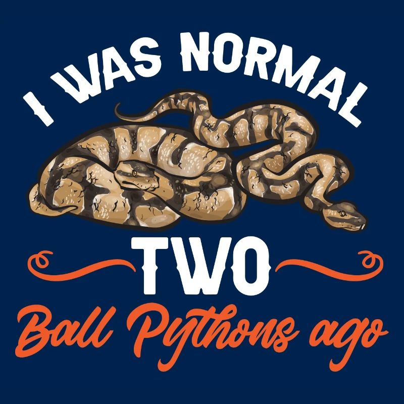 Ball Python Schlange Königspython