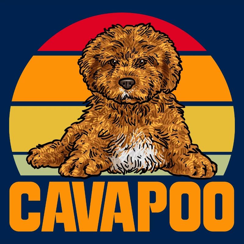 Cavapoo Cavoodle Capoodle Hund