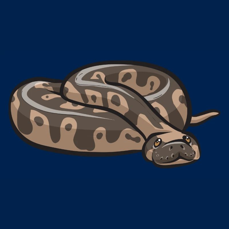 Ball Python Snake King Python