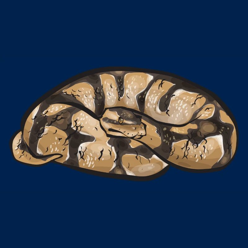 Ball Python Snake King Python