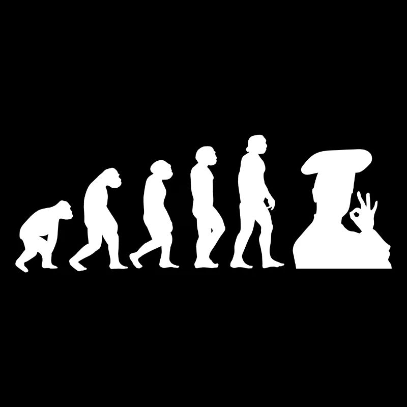 Evolution Koch