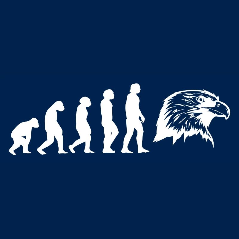 Evolution Falkner