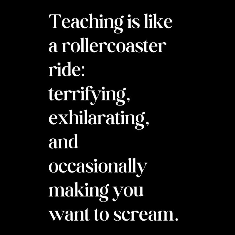 teaching is like a rollercoaster ride