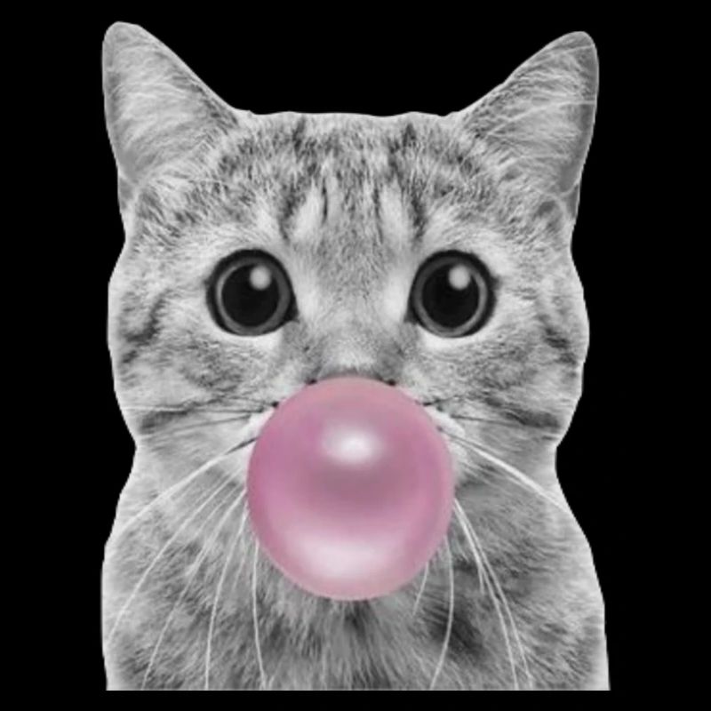 Bubble Katze
