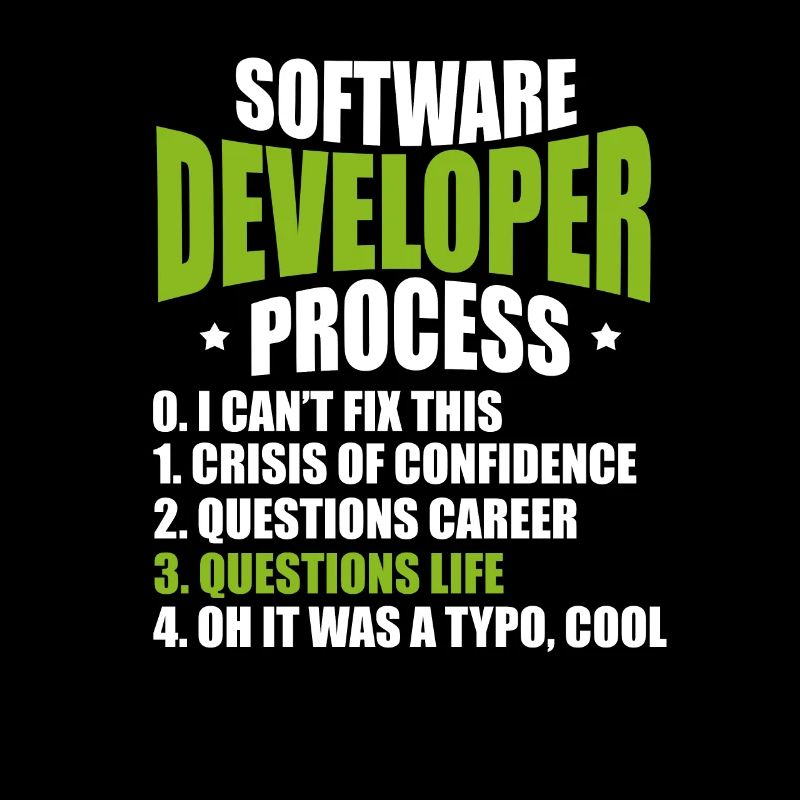software developer