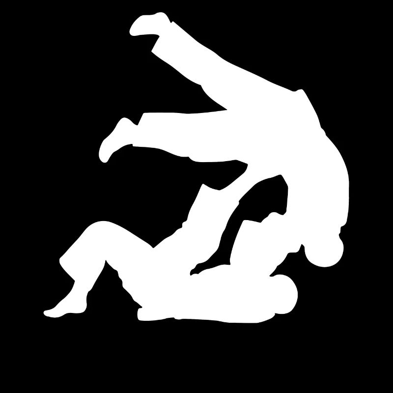 Jiu-Jitsu Brésilien BJJ