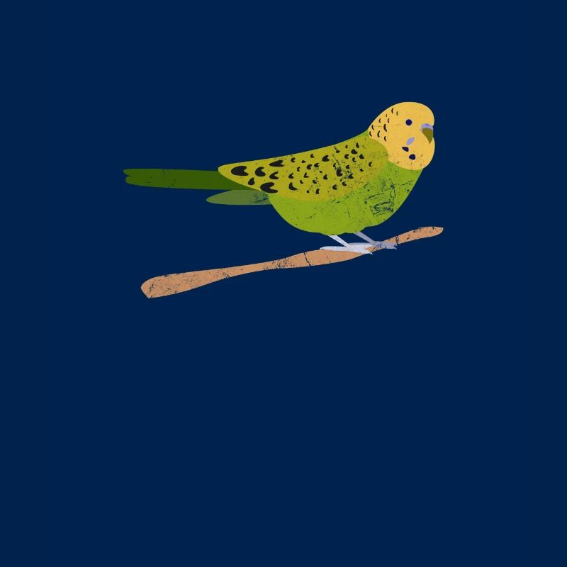 Perruche ondulée