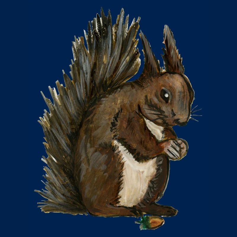 squirrel squirrel eichhörnchen esquilo hazelnut