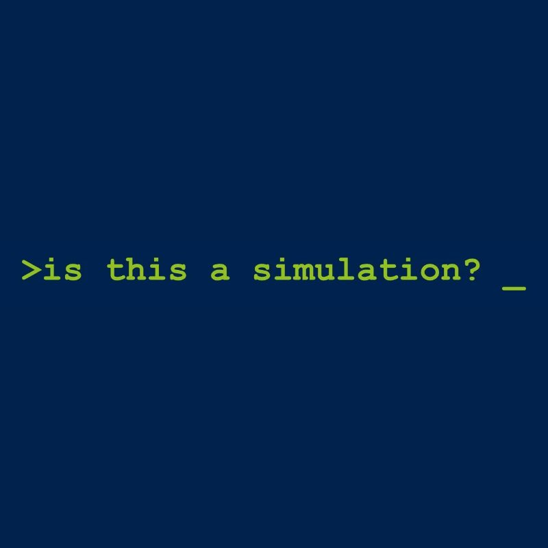 Is this a simulation programming informatique