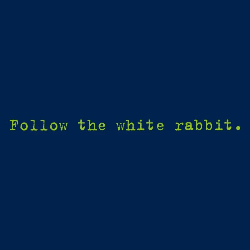 Follow the white rabbit Programming Informatik